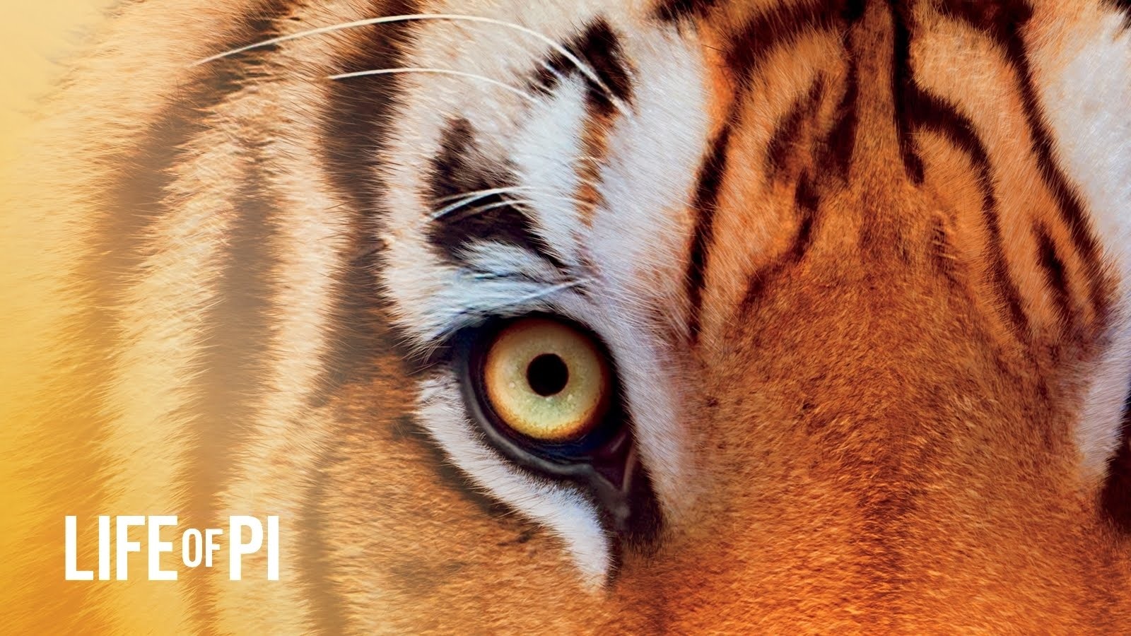 Life of Pi Blu-Ray Steelbook Limited Edition is coming from the UK