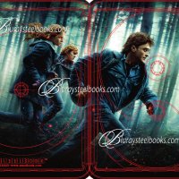 Exclusive:  Harry Potter and the Deathly Hallows Part 1 Blu-ray SteelBook Art!